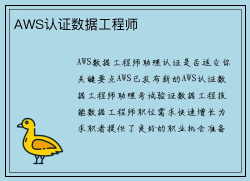 AWS认证数据工程师 
